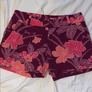 Loft Riviera Shorts